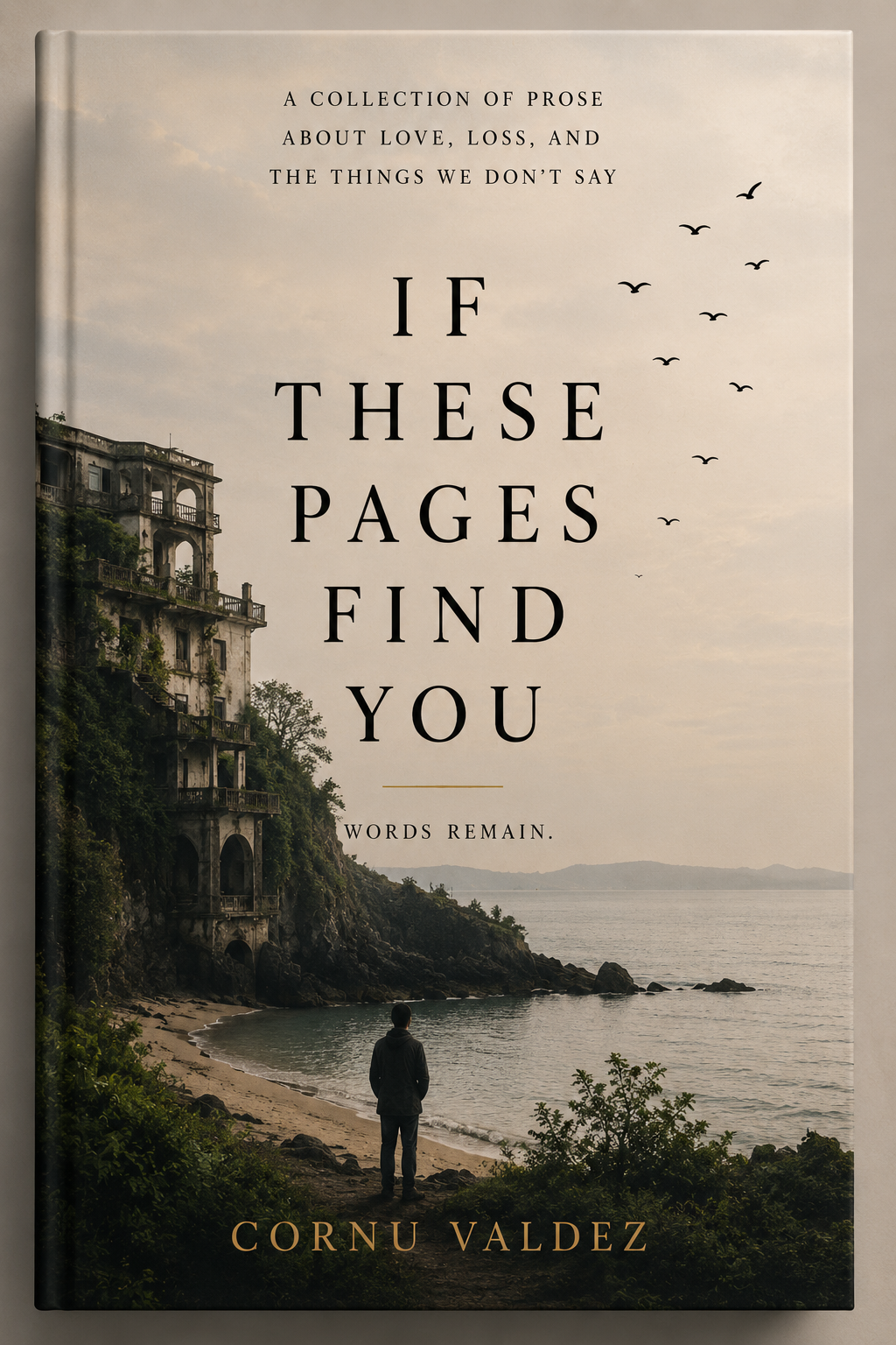 If These Pages Find You — book cover